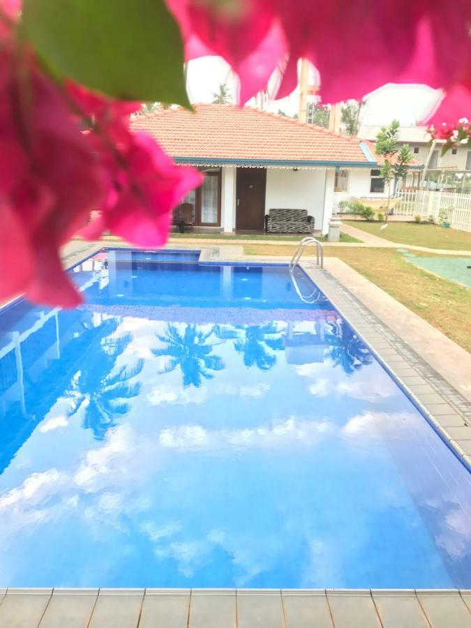 White Rose Beach Resort Marawila Buitenkant foto